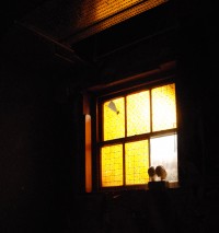 Window with Close Friends
